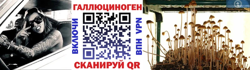 Псилоцибиновые грибы Psilocybine cubensis купить наркотик Людиново